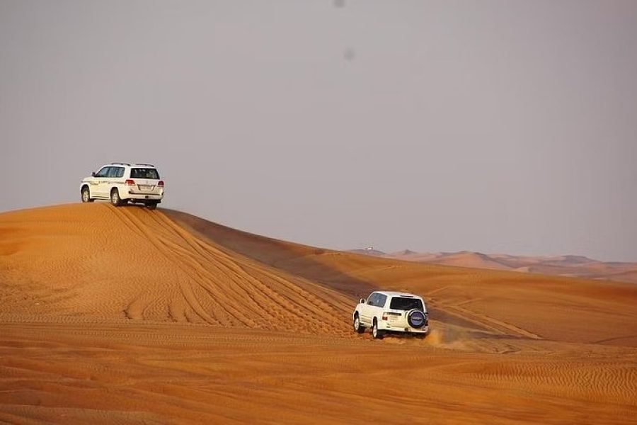 Excursiones por el desierto de Dubai con cena barbacoa y entretenimiento en vivo
