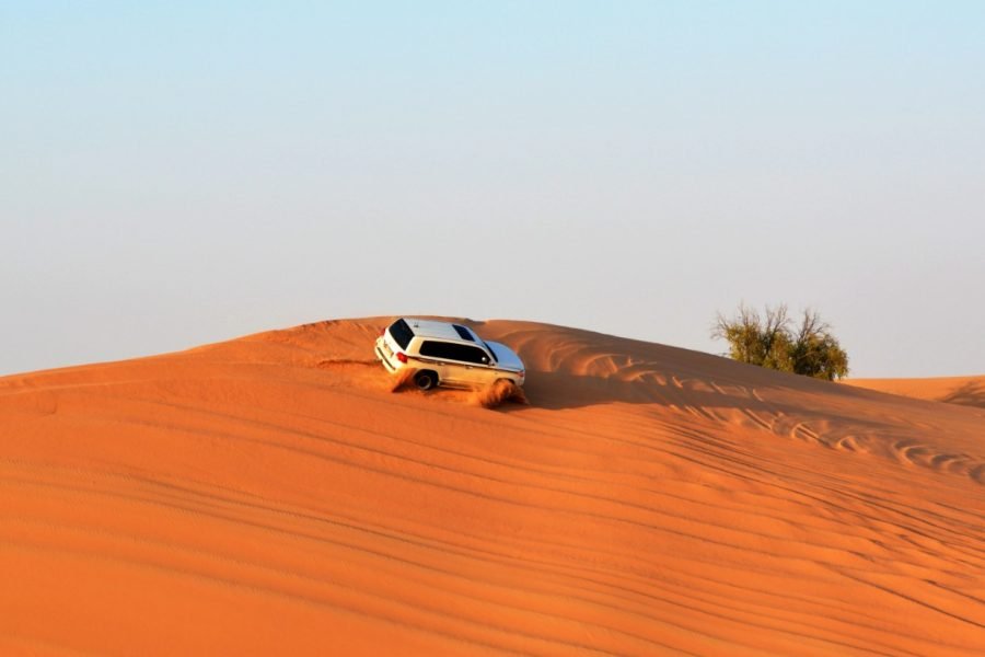 Safari por el desierto por la tarde con Dune Bashing y paseo en camello desde Dubai Port Rashid