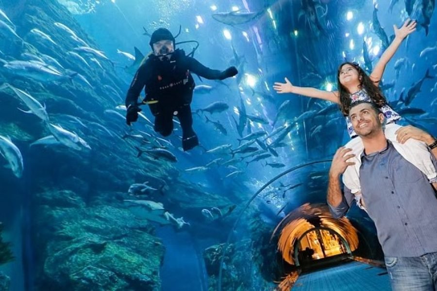 Reserve entradas para el acuario y el zoológico submarino de Dubai en línea