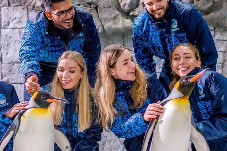 Ski Dubai en Mall of Emirates – Reserve sus entradas hoy